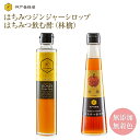 はちみつ ジンジャーシロップ &はちみつビネガーセット(林檎) 生姜 シロップ 効能 蜂蜜 ハチミツ 無添加 無着色 冷え性対策 温活 国産 高知 瓶 ドリンク