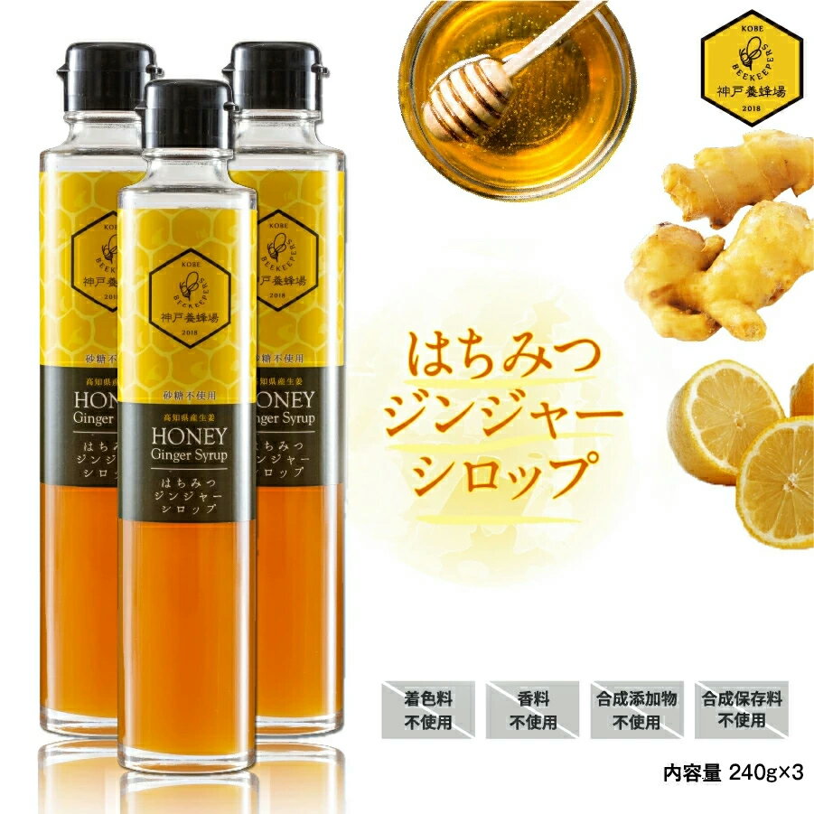 ジンジャーシロップ 3本 生姜 はちみつ 国産生姜使用 辛口 蜂蜜 ハチミツ レモン しょうが 生姜湯 温活 飲み物 無添加 人気 無糖 無着..