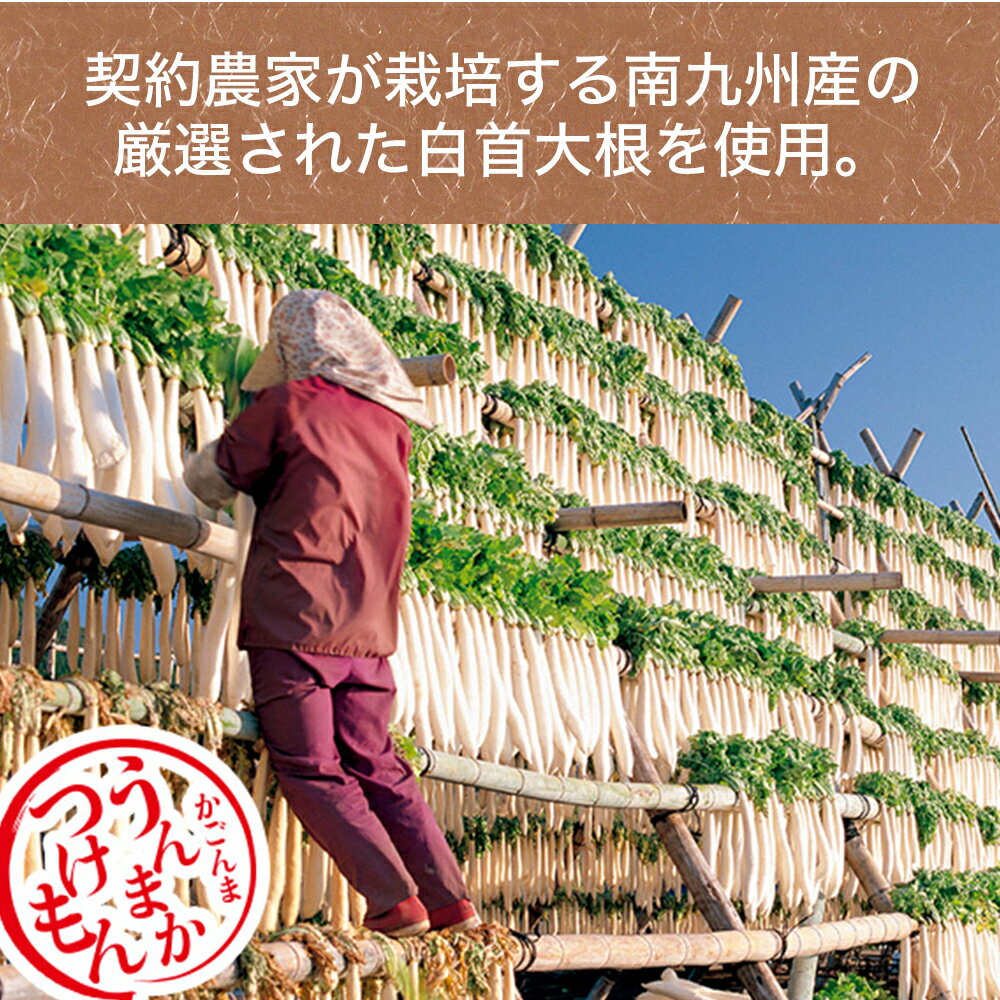 無双本舗 国産ねり梅 100g×40個セット - 無双本舗