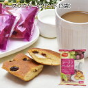 レーズンクリームサンド 3袋(1袋 8個入)山内製菓 おやつ ティータイム 個包装 栄養機能食品 カルシウム ひとくちサイズ しっとり 濃厚 ラム酒漬