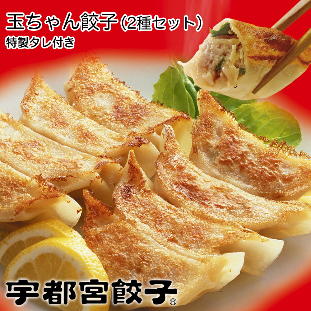 宇都宮餃子 玉ちゃん餃子 60個（30個×2袋) 冷凍 【メーカー直送】【送料無料 ※北海道・沖縄離島除く】肉餃子と行者にんにく餃子セット 自家製タレ付き ぎょうざ ギョーザ おつまみ おかず 惣菜 点心 中華 国産キャベツの甘み 那須産豚肉