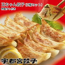 宇都宮餃子 玉ちゃん餃子 60個(30個×2袋) 冷凍 【メーカー直送】【送料無料 ※北海道・沖縄離島除く】肉餃子と行者にんにく餃子セット 自家製タレ付き ぎょうざ ギョーザ おつまみ おかず 惣菜 点心 中華 国産キャベツの甘み 那須産豚肉