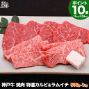 【P10倍27日am10時まで】神戸牛 焼肉 セット 特選 カルビ ＆ラムイチ（冷蔵）【送料無料 あす楽対応】母の日 ギフト プレゼント 内祝い お返し お祝い 誕生日 結婚祝い 出産祝い 結婚内祝い 出産内祝い 牛肉 肉 グルメ 焼き肉 赤身 霜降 1