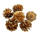 【20左-1】松かさゴールド6個入り 2.5cm〜3.5cm 中 ハンドメイド資材 手作り 天然素材 自然素材 材料 部品 パーツ リース フラワーアレンジメン...