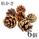 【20左-1】松かさ6個入りナチュラル 3cm 3.5cm 中 ハンドメイド資材 手作り 天然素材 自然素材 素材 材料 部品 パーツ 自然 天然 リース フラ...