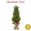 ミニクリスマスツリー48cmフレッシュグリーン 卓上 置物 テーブル 北欧 ナチュラル 部屋 玄関 小さい 小さめ 小物 おしゃれ かわいい 足元 高級 豪華 ...