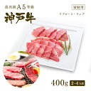 【家庭用】A5等級 神戸牛 極上霜降り・特選赤身 焼肉セット