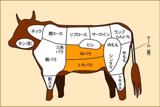 最高級 A5等級 神戸牛切り落とし（並）500g【ご自宅用 家庭用 料理用 お得】【牛肉 神戸ビーフ 黒毛和牛 国産】【A5ランク】神戸牛の証明書付き