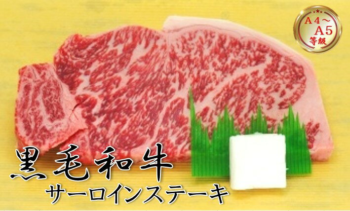 【肉の日4,050円→3,645円】黒毛和牛サーロインステーキ用250g 冷凍 サーロイン 和牛 プレゼントBBQ 高..