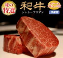 ステーキ ステーキ肉 ギフト 牛肉 シャトーブリアン ヒレ ステーキ ヘレ 200g (100g*2枚) 赤身 ヒレステーキ肉 ヒレステーキ 和牛 ヒレ肉 a5 鉄板 焼肉 肉 牛肉 特選黒毛和牛 国産牛 ステーキ 高級 もも お取り寄せグルメ お取り寄せ グルメ