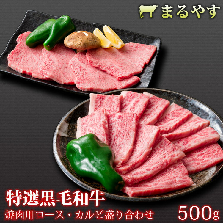 父の日 ギフト 肉 プレゼント 食べ物 焼肉 焼き肉 やきにく 焼肉セット 国産 牛肉 焼肉 焼肉用 カルビ 盛合せ 500g (2～3人前) ランプ ラム モモ A5 特選黒毛和牛 霜降り 国産 和牛 ギフト 牛肉 お取り寄せ グルメ 和牛 肉 送料無料 誕生日プレゼント 内祝い