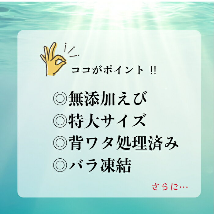 無添加《超特大！！ブラックタイガー無頭殻付き13/15サイズ　背ワタ処理済み500g》　下処理済み/海老/エビ/えび/正月/和食/無添加【合計3980円以上のお買い上げで送料無料】 3