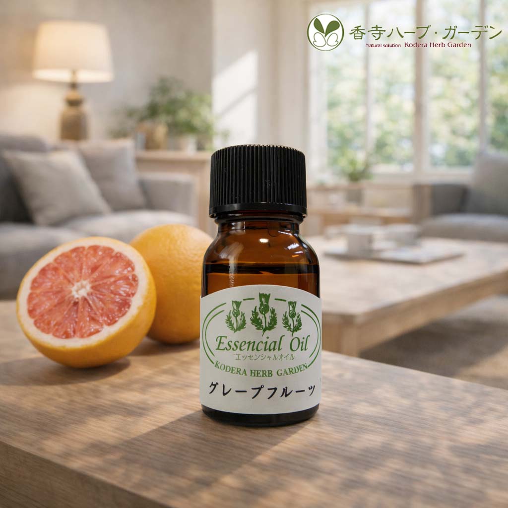 フレッシュなグレープフルーツそのものの香り。 ■品番&nbsp;2001 ■品名&nbsp;エッセンシャルオイル　グレープフルーツ　10ml ■メーカー&nbsp;香寺ハーブ・ガーデン ■仕様・特徴 &nbsp;・光毒性にご注意下さい。 ※光毒性とはご使用後、精油と接触した部分が日光に当たりますと皮膚が損傷を受ける可能性がある性質のことです。精油と接触した部分を水などでよく洗い流すなどして外出して下さい。 &nbsp;・原液を直接皮膚や粘膜（口、目など）につけないで下さい。皮膚についた場合は水で十分に洗い流して下さい。 &nbsp;・妊娠中の方、乳幼児へのご使用は専門家に相談してからにして下さい。 &nbsp;・幼児の手の届かないところに保管し、使用後はしっかりふたを閉め冷暗所に保管して下さい。 &nbsp;・開封後はなるべく早く（1年以内を目安）使い切るようにして下さい。 &nbsp;・ブレンドしたオイルを保存する場合、遮光瓶を使用して下さい。 ※詳細なお問合せは下記までお願いします。  香寺ハーブ・ガーデン 〒679-2155　兵庫県姫路市香寺町矢田部689-1 TEL　079-232-7316 ［広告文責］  株式会社 コーベヤ  TEL：0794-83-6399