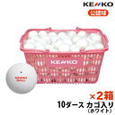 ナガセケンコー ソフトテニスボール 公認球 10ダースカゴ入り×2箱 ホワイト TSOWKV 送料無料・代引手数料無料 【smtb-k】【kb】