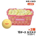 ナガセケンコー　ソフトテニスボール　公認球　10ダースカゴ入り×2箱　イエロー　TSOYKV　送料無料・代引手数料無料　【smtb-k】【kb】