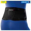 ザムスト ZAMST 腰用サポーター ZW-3