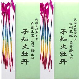 純国産 線香花火 九州三池・筒井時正の不知火牡丹 (10本入) 2袋セット しらぬいぼたん 手持ち花火【メール便送料無料】 おもちゃ プレゼント 誕生日