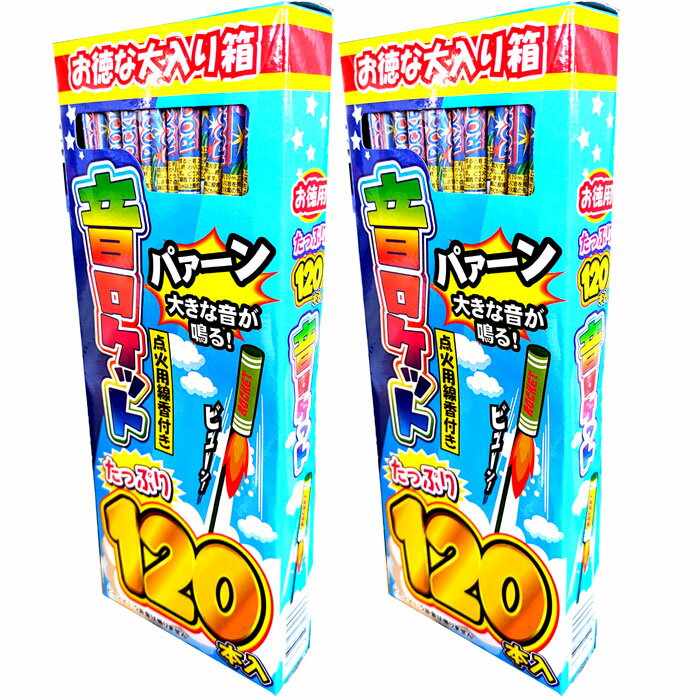 たっぷり240本！大きな音が鳴る！ロケット花火 音ロケット 2箱 点火用線香付！ 飛翔花火 飛しょう花火 春雷火箭 鳥獣退散 熊よけ、鳥よけ ※モニター発色の具合により色合いが異なって見える場合がございます。 ※花火は沖縄、離島への発送はで...