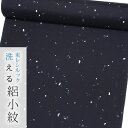 【東レシルック奏美 洗える着物】絽小紋 sl-rk244黒色系【小紋】【洗える 夏着物】【送料無料】