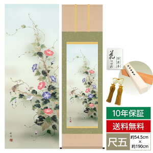 掛け軸 掛軸 床の間 モダン 和風 尺五 花鳥掛軸 四季花鳥 四季彩選 夏 朝顔 田村 竹世 三美会 約54.5cm 190cm 洛彩緞子本表装 10年間保証 収納箱 防虫香 風鎮 付き 父の日 敬老の日 プレゼント巨匠
