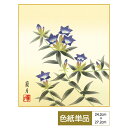 色紙 絵画 アート 花鳥山水画 モダン 手彩特色工芸色紙 桔梗 可憐に咲き競う秋の花 父の日 母の日 敬老の日 プレゼント 贈り物