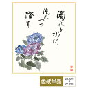 色紙 絵画 アート 名言 名句 山頭火名句選 モダン 紫陽花 洋美 サイズ幅24.2cm 高さ27.2cm 高精細特色色紙 父の日 母の日 敬老の日 プレゼント...
