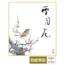 色紙 絵画 アート 花鳥山水画 モダン 手彩特色工芸色紙 紅白梅 雪月花 父の日 母の日 敬老の日 プレゼント 贈り物