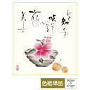 色紙 絵画 アート 名言 名句 こころの名句選 モダン ほおづき 洋美 サイズ幅24.2cm 高さ27.2cm 高精細特色色紙 父の日 母の日 敬老の日 プレゼ...