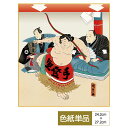 色紙 絵画 アート おみやげ用作品 モダン 大相撲錦絵 弓取りの図 サイズ幅24.2cm 高さ27.2cm 高精細特色色紙 父の日 母の日 敬老の日 プレゼント...