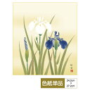 色紙 絵画 アート 花鳥画 モダン 四季淡花 菖蒲 田村竹世 サイズ幅24.2cm 高さ27.2cm 高精細特色色紙 父の日 母の日 敬老の日 プレゼント 贈り...