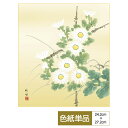 色紙 絵画 アート 花鳥画 モダン 四季淡花 菊花 田村竹世 サイズ幅24.2cm 高さ27.2cm 高精細特色色紙 父の日 母の日 敬老の日 プレゼント 贈り...