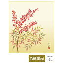 色紙 絵画 アート 花鳥画 モダン 四季淡花 南天 田村竹世 サイズ幅24.2cm 高さ27.2cm 高精細特色色紙 父の日 母の日 敬老の日 プレゼント 贈り...
