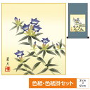 掛け軸 掛軸 床の間 モダン 和風 色紙 色紙掛 セット 花鳥山水画 平安純綿 桔梗 可憐に咲き競う秋の花 吉井蘭月 サイズ幅31cm 高さ57cm 表装綿支那...