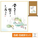掛け軸 掛軸 床の間 モダン 和風 色紙 色紙掛 セット こころの癒し絵 平安純綿 しあわせかえる 今ここに 生きるしあわせ 恵風 サイズ幅31cm 高さ57c...