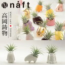 高岡銅器 Plants animal 動物の体の一部に見立てた、エアプランツ専用のプランツベース naft-039-gikn ホビー オブジェ 雑貨