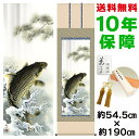 掛け軸 掛軸 床の間 モダン 和風 尺五 大昇鯉 森山観月 正絹緞子本表装 約54.5 190cm 新絹本 10年間保証 収納箱 防虫香 風鎮 付き 父の日 敬老の日 プレゼント巨匠 複製画 タペストリー かわいい おしゃれ