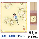 掛け軸 掛軸 床の間 モダン 和風 色紙 色紙掛 セット 桜に瑠璃鳥 西尾香悦 衣笠緞子色短掛 幅31 高さ約125cm 手彩特色 工芸色紙 和小物 現代作家作...