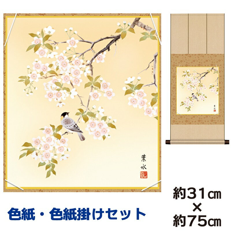 掛け軸 掛軸 床の間 モダン 和風 色紙 色紙掛 セット 桜に小鳥 緒方葉水 八坂緞子色紙掛 幅31 高さ約75cm 手彩特色 工芸色紙 和小物 現代作家作品 ...