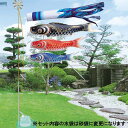 こいのぼり スタンドセット 鯉のぼり 庭園用 庭用 キング印 鯉のぼり 隼 庭園スタンドセット4m 人形広場 天祥