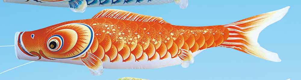鯉のぼり 単品キング印 隼 橙鯉 3m