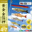 2倍ポイント 4/25 22時－29 11：59迄★こいのぼり 庭 庭園用 村上 鯉のぼり セット各種 五色吹流し 金太郎なし 矢車 ロープ付き ポール別売 金箔押4m7点セット ガーデン用 ナイロン生地 天祥 オシャレ