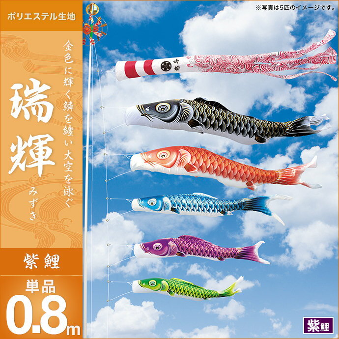 鯉のぼり 単品キング印 瑞輝撥水 紫鯉0.8m