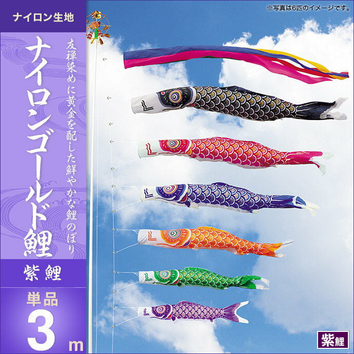 鯉のぼり 単品キング印 ナイロンゴールド鯉 紫鯉3m