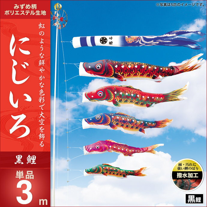 にじいろ-黒鯉3m・単品