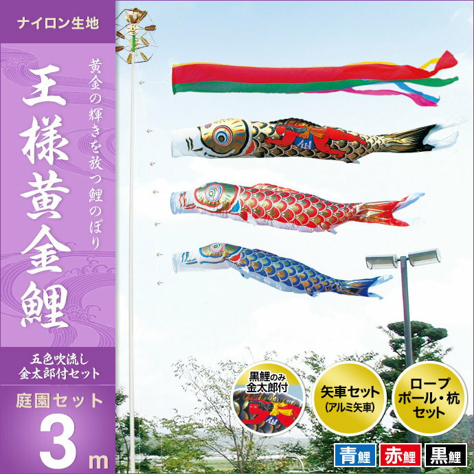 王様黄金鯉(金太郎付)-庭園セット3m