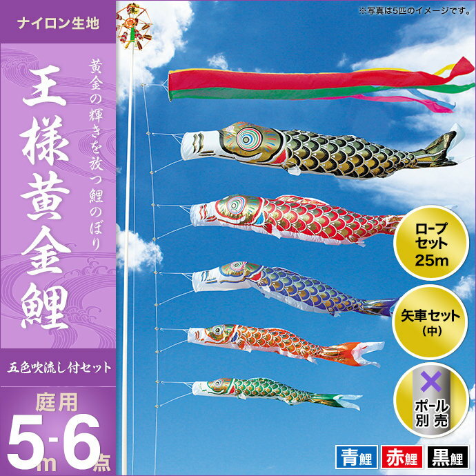 王様黄金鯉(五色吹流し)-5m 3匹6点セット
