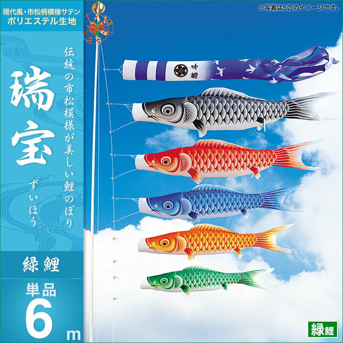 瑞宝-緑鯉6m・単品