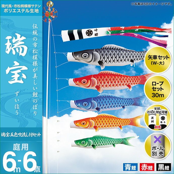 瑞宝(五色流し)-6m 3匹6点セット