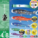 こいのぼり 庭 庭園用 徳永 鯉のぼり 家紋 名前入可能 セット各種 ポール別売 豪セット 4m8点セット金彩弦月之鯉 豪 ガーデン用 撥水加工鯉 ポリエステルシルキーブライト生地 天祥 デコ
