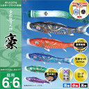 こいのぼり 庭 庭園用 徳永 鯉のぼり 家紋 名前入可能 セット各種 ポール別売 豪セット 6m6点セット金彩弦月之鯉 豪 ガーデン用 撥水加工鯉 ポリエステルシルキーブライト生地 天祥 オシャレ